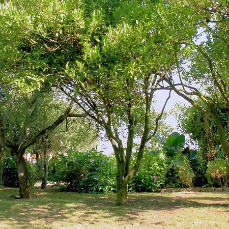 Casa 3 Aguias 4* Aveiro