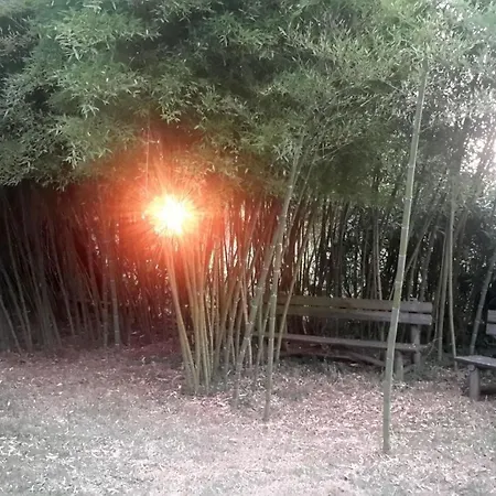 Nocleg ze śniadaniem Casa 3 Aguias Aveiro