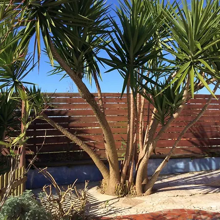 Casa 3 Aguias Aveiro