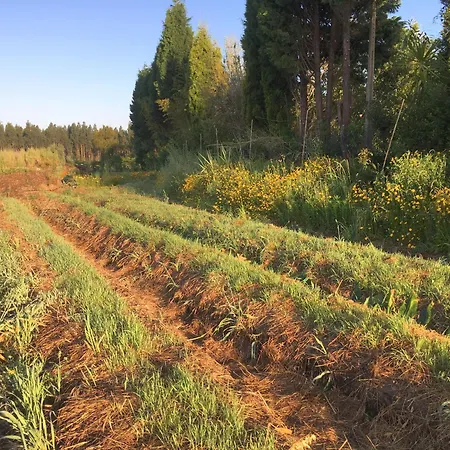 Casa 3 Aguias Aveiro