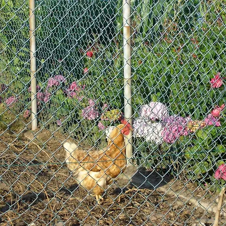 Nocleg ze śniadaniem Casa 3 Aguias