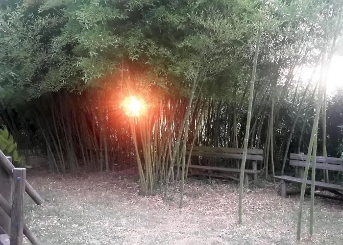 לינה וארוחת בוקר Casa 3 Aguias אבאירו