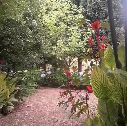 Casa 3 Aguias לינה וארוחת בוקר 4*