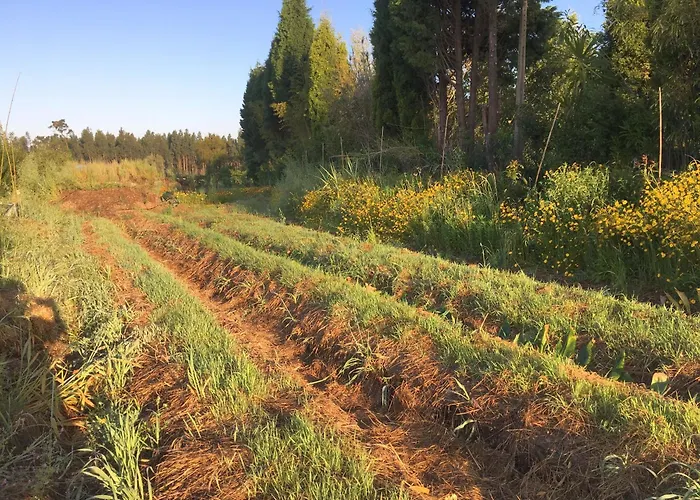 Casa 3 Aguias אבאירו